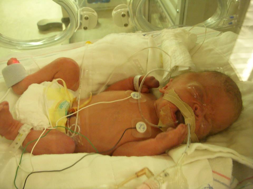 Joey Kangaroo Newborn