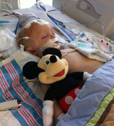 Weston after surgery