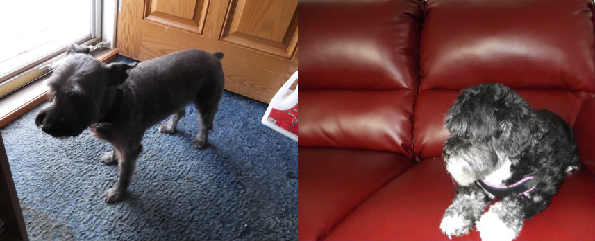 Kansas Medical Kidnap