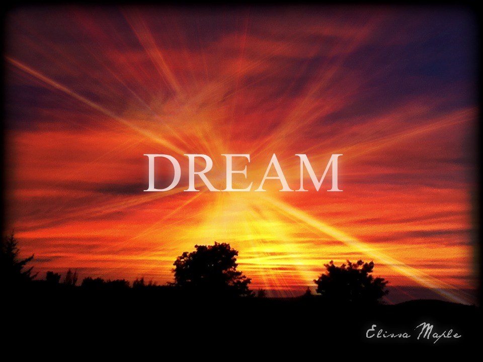 Maple Elissa photography