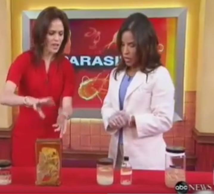 Dr Susan Evans discusses Parasites on Good Morning America
