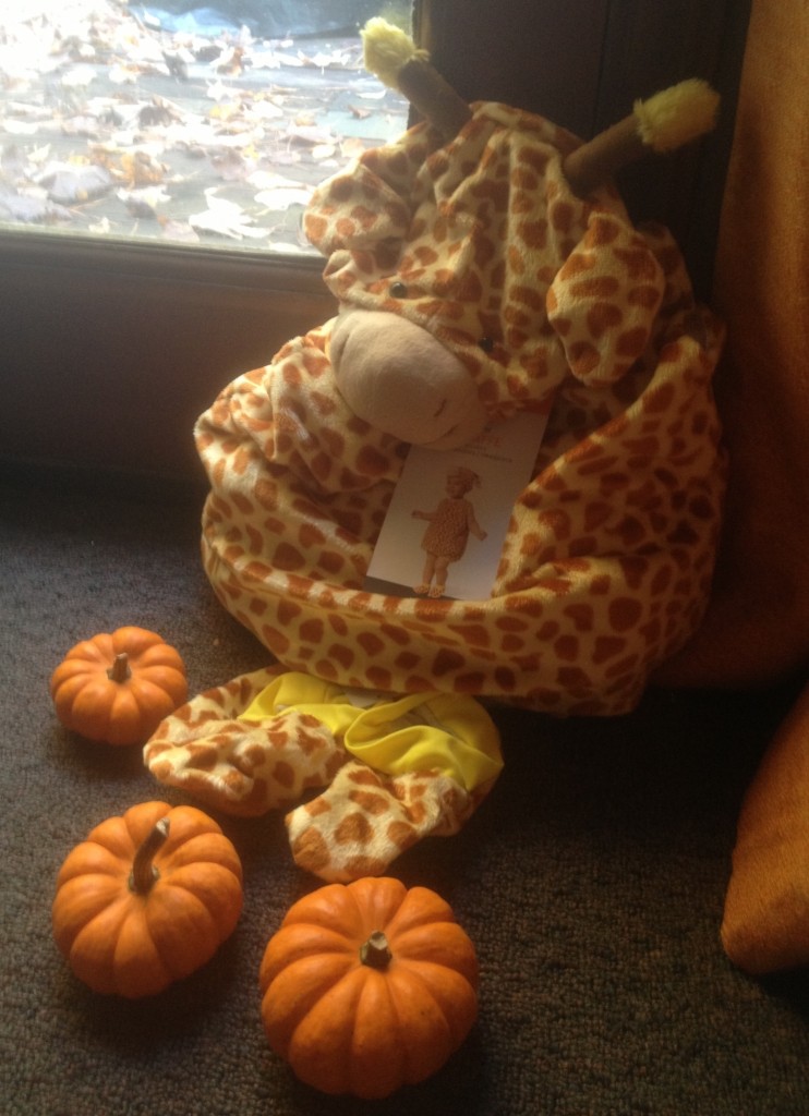 Micah Halloween costume shell