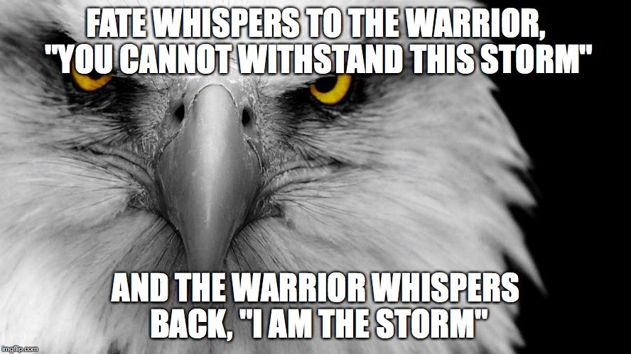 I am the storm meme