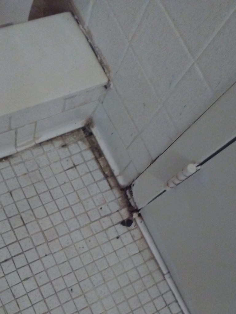 Prince mold in group home