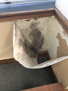 Headley mold peeled back wallpaper via foxcarolina