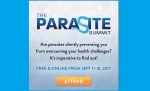 PARASITE-Summit-FB-300x182