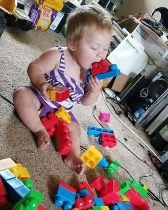 Nelson BEFOREHARVEST1