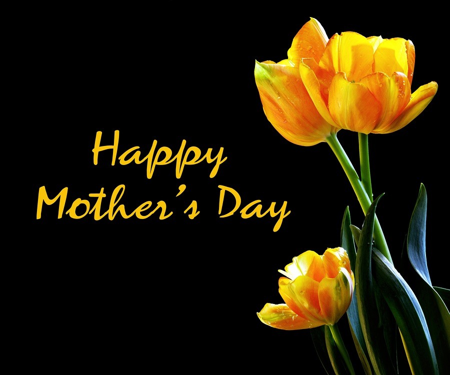 Spring Tulips Happy Mother's Day Card