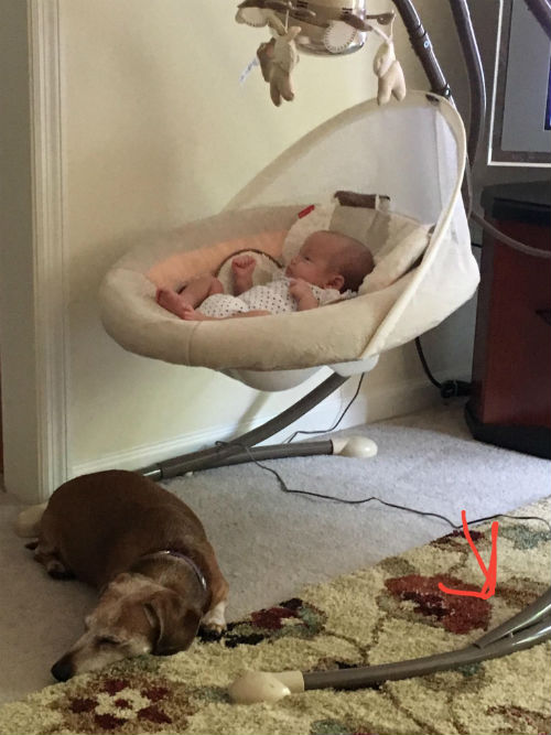 Jennifer Ray 2018 Jan 7 - Pic of Evrens Swing & Impact Spot