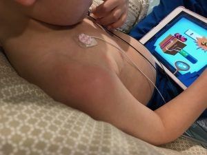 hos2-IMG_4533-300x225