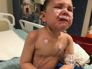 hos3-IMG_4535-300x225