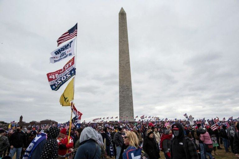 stop-the-steal-d.c.-protest-768x512