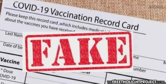 Fake-vaccination-card-540x272