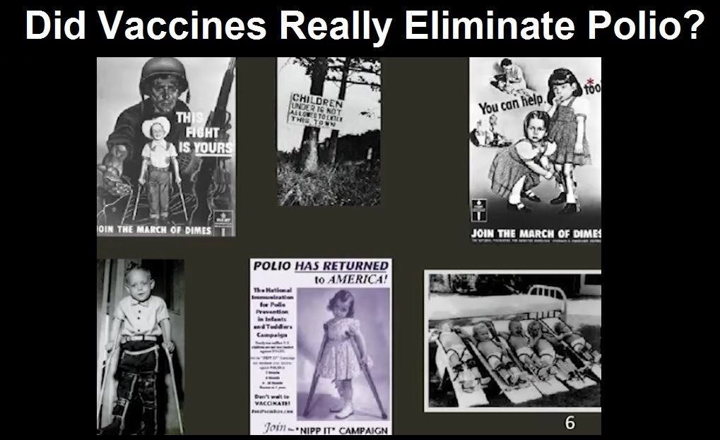 did-vaccines-eliminate-polio-2