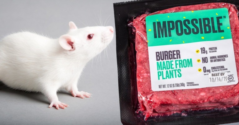 Rat-and-impossible-burger-768x402