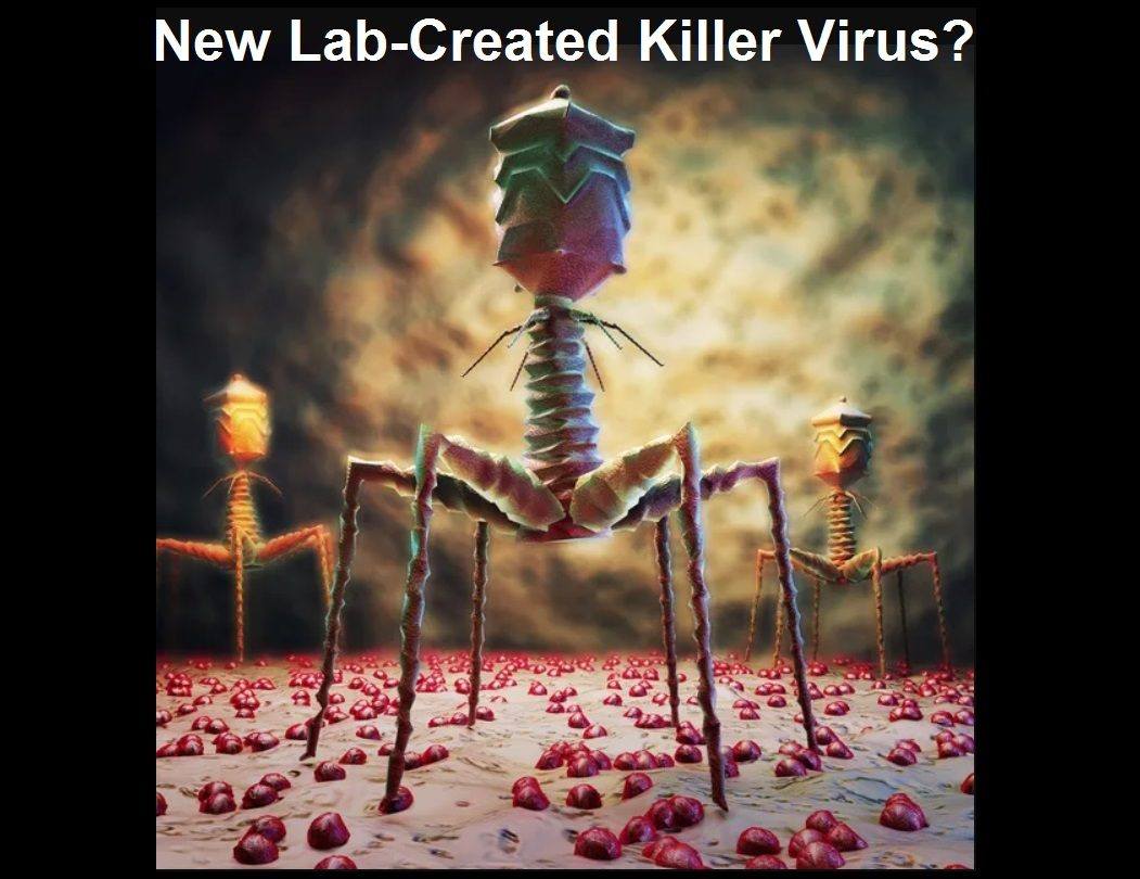Killer-viruses