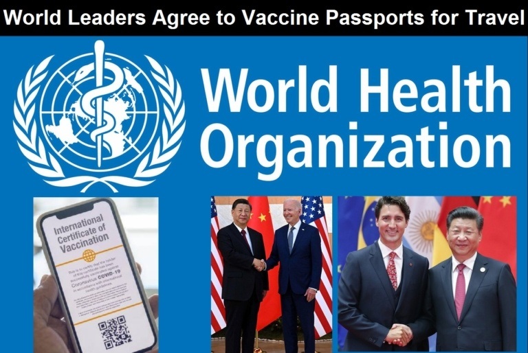World-leaders-agree-to-vaccine-passports-for-international-travel-768x514