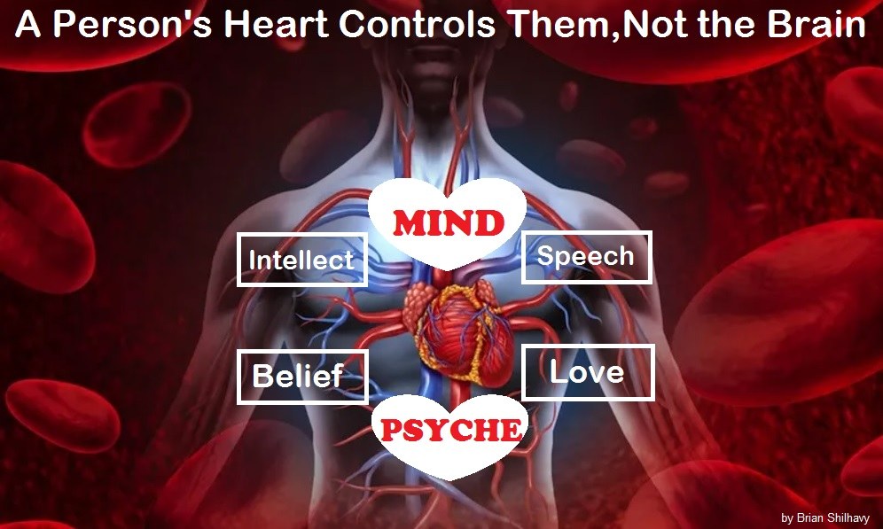 Heart-Contols-Mind-and-Thought-as-well-as-emotions