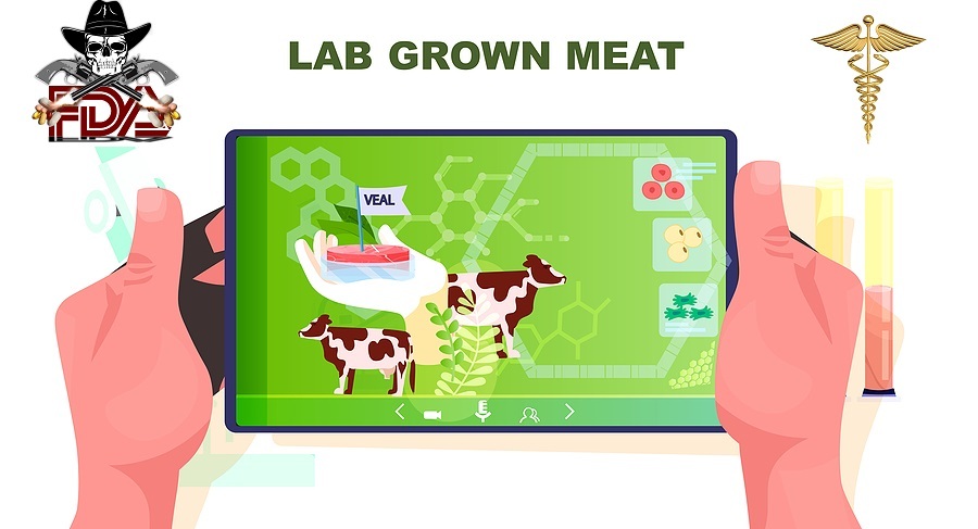 lab-grown-beef-2
