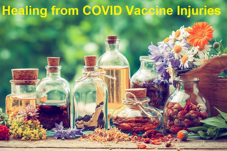 Healing-for-COVID-Vaccine-Injuries